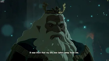 Where can I find the old man Zelda?