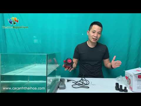 Video Unbox và hướng dẫn sử dụng máy bơm bể cá Baoyu BY-104... - youtube