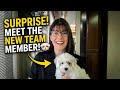Meet Our New Team Member With a Big Surprise! | Follow Fulfillment