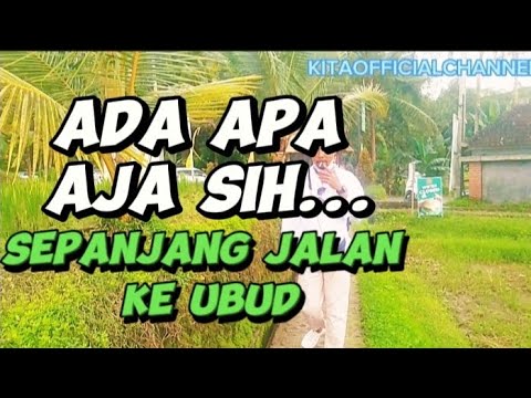 ADA APA AJA SIH... SEPANJANG JALAN KE UBUD - YouTube
