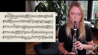Brahms 3, Mvt  2 Clarinet Solo, BEST Metronome Practice Tip! | Clarinets, Cats, & Coffee 🎶 🐈 ☕️ screenshot 4