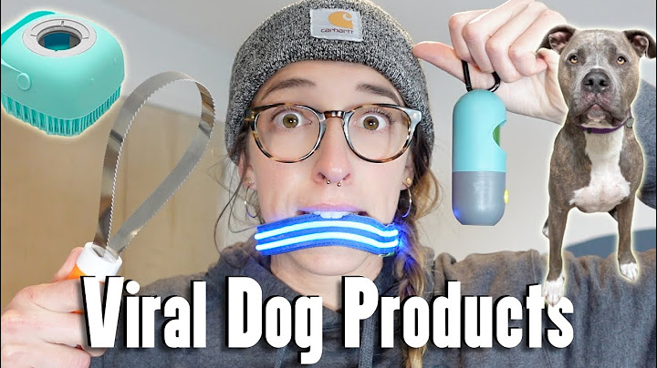 Testing Viral Dog Products--Part 78!!!