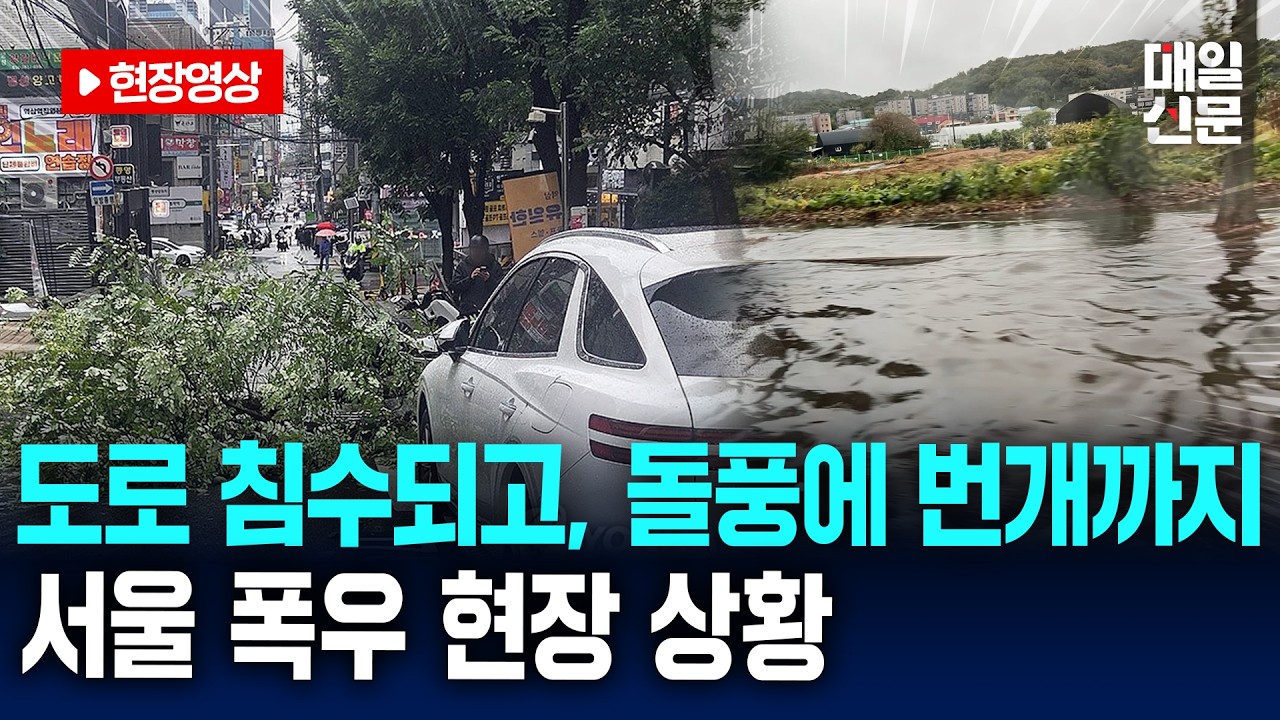 강풍에 나무 쓰러지고 도로 침수...서울 폭우 피해 현장