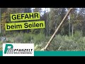 SVLFG Kurzholzkatapult Vorführung während Pfanzelt Jubiläumsfeier