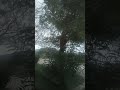 Looking out for you...