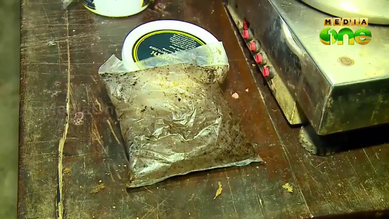 Latest Cultivation Of Marijuana news in Idukki