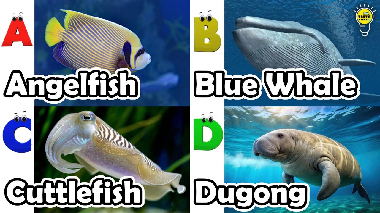 Изучение животных по алфавиту | Песенка про морских животных по алфавиту | Английский язык и живо...