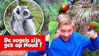 IS NOUD EEN VOGELFLUISTERAAR!? (DAGJE AVIFAUNA) - De Nagelkerkjes #235