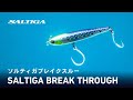 【水中動画】SALTIGAブレイクスルー