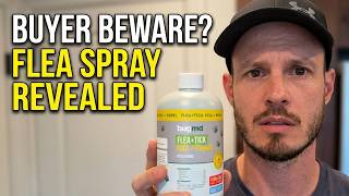 I Tried BugMD Flea Spray on My Cat | Here's What Happened