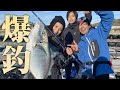 脂乗りまくりな高級魚が簡単無限に釣れると噂の場所を調査!!!!
