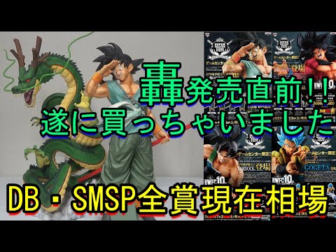 開封レビュー】念願のバイバイ悟空を購入！そしてDB・SMSPの全造形全賞