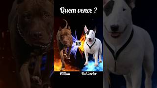 Pitbull Vs Bul Terrier.