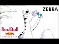 ZEBRA Red Bull Gives You Wings 2011