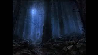 Summoning the Forest Wraith (with guitars)