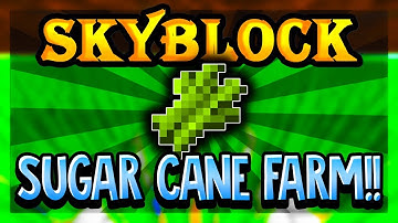 How to Build an EFFICIENT Sugarcane Farm in Hypixel Skyblock!!