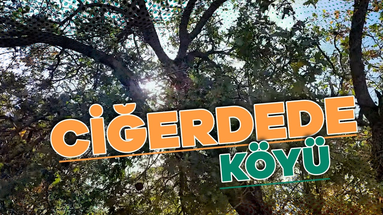 UŞAK - CİĞERDEDE KÖYÜ BELGESELİ