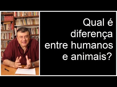 Vídeo: Diferença Entre Animal E Humano