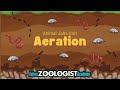 Understanding Oxygen and Aeration