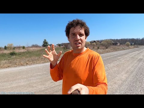 Finding the Energy to Stay Motivated