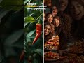 🌶️ ¿Sabías que el ají pica para que NO lo comas?