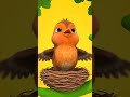 N is for Nest 🪺 | Fun ABC Time!