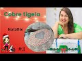 Como fazer um cobre tigela  - Nataflix #3