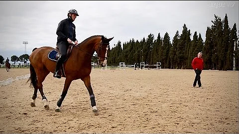 Le dressage, passage oblig pour les cavaliers d'ob...