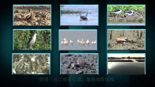 【台江】江海濕地 婆娑生態─台江國家公園簡介影片台語版（12分鐘）