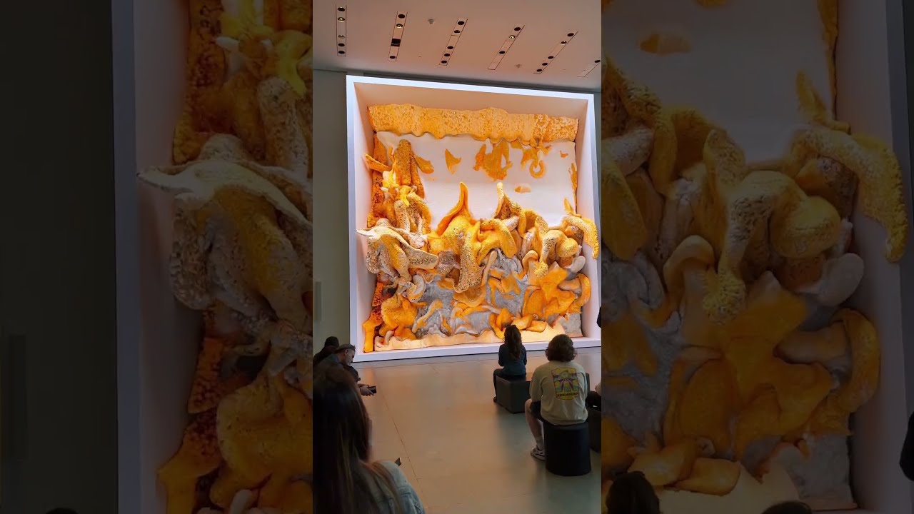 Museum of Modern Art - YouTube