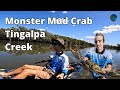 Catching Monster Mud Crabs After Big Floods! Tingalpa Creek!!!