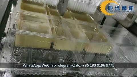 Clamshell Box Thermoforming Machine for Strawberries & Grapes & Blueberry & Raspberry Packaging