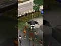 the Flying Ostrich #music #phonkagressive #goatsimulator #games