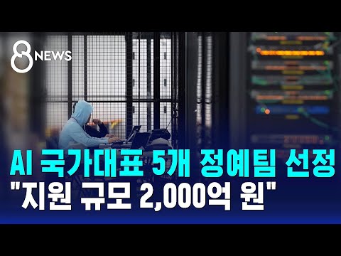 AI 국가대표 5개 정예팀 선정…'지원 규모 2,000억 원' / SBS 8뉴스