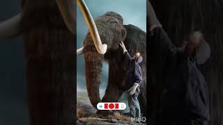 Dubra Jinda Kerna M Laga H Video