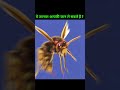 these animals are harmful for you