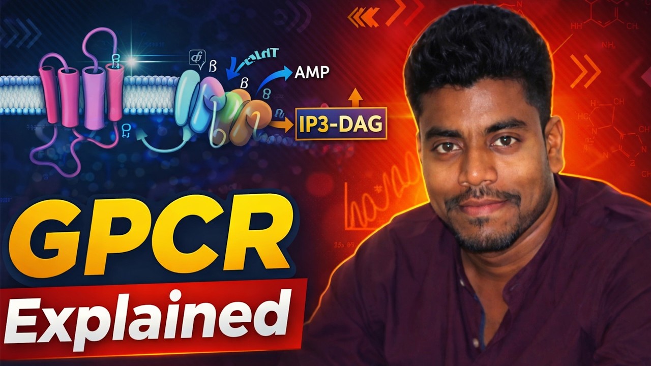 G Protein Coupled Receptors (GPCR) | Mechanism, Pathway & Examples | Pharmacology