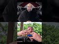 D&amp;D 4e vs. Pathfinder: Storytelling vs. Customization #shorts