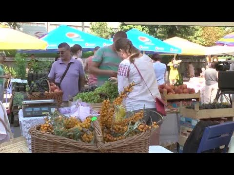 Video: Cum Se Ajunge La Festivalul Austriac De Recoltare A Strugurilor