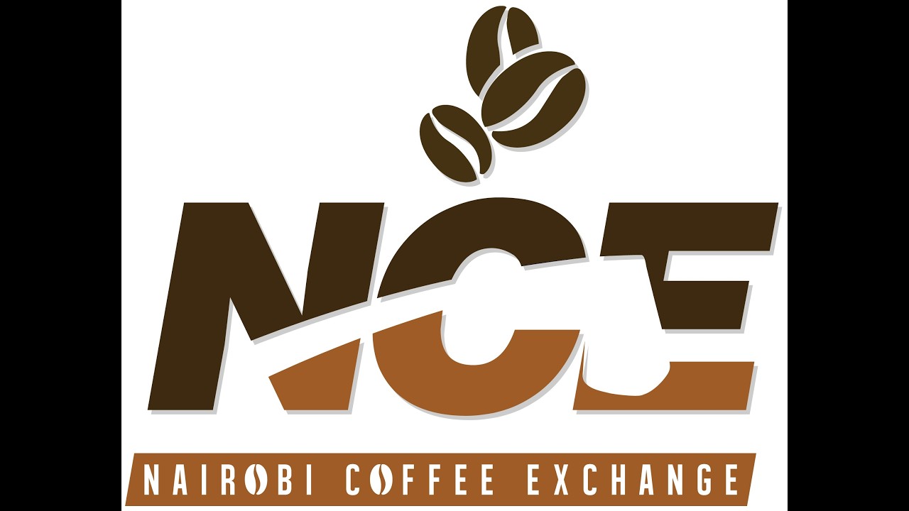 STRATEGIC PLAN LAUNCH