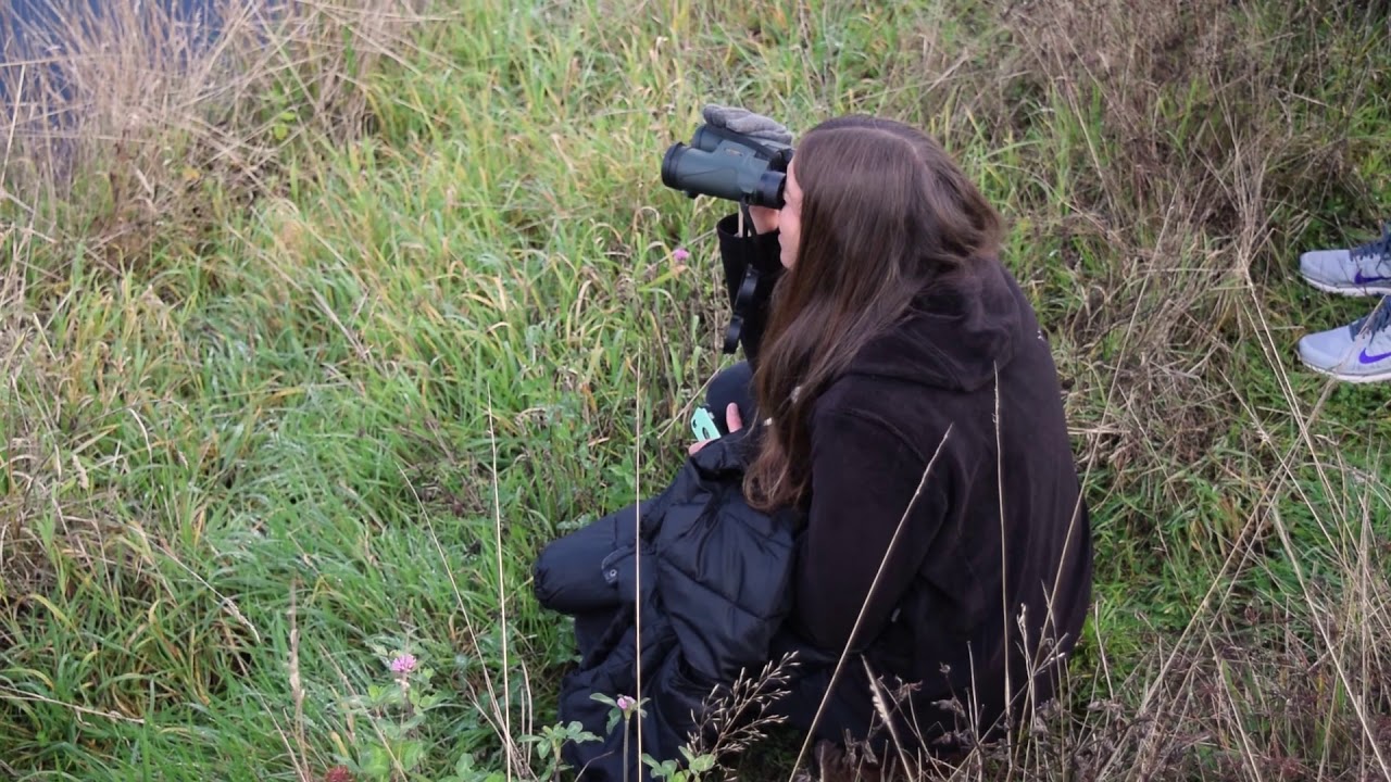 BIRDWATCHING CAHUIL ADVENTURE