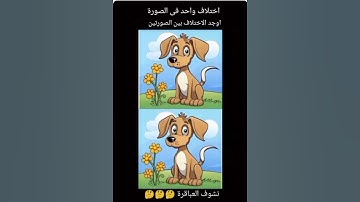 لوعرفت الاختلاف حط #لايك وشتراك مااجمل صوت القران الكريم