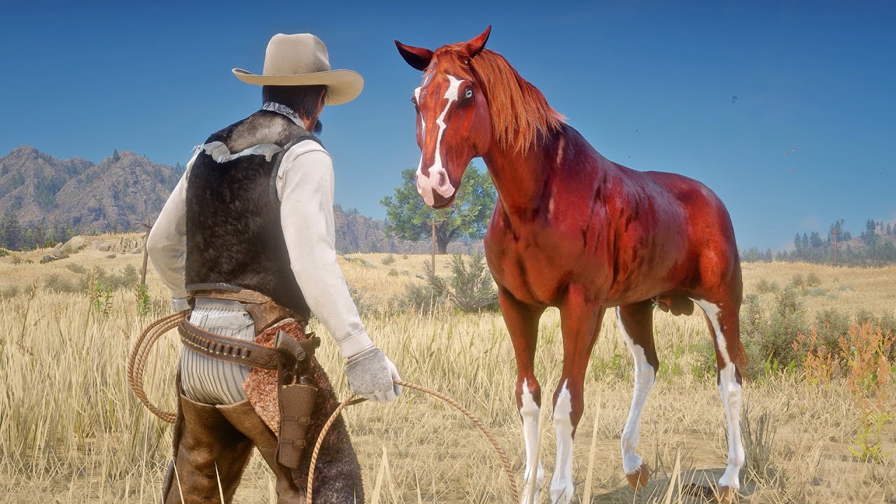 John Marston Tames Majestic Turkoman Chestnut Horse near Blackwater | RDR2