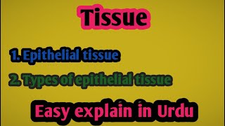 Tissue || Epithelial tissue || Epithelial tissue in Urdu class 9 || epithelial tissue and its types