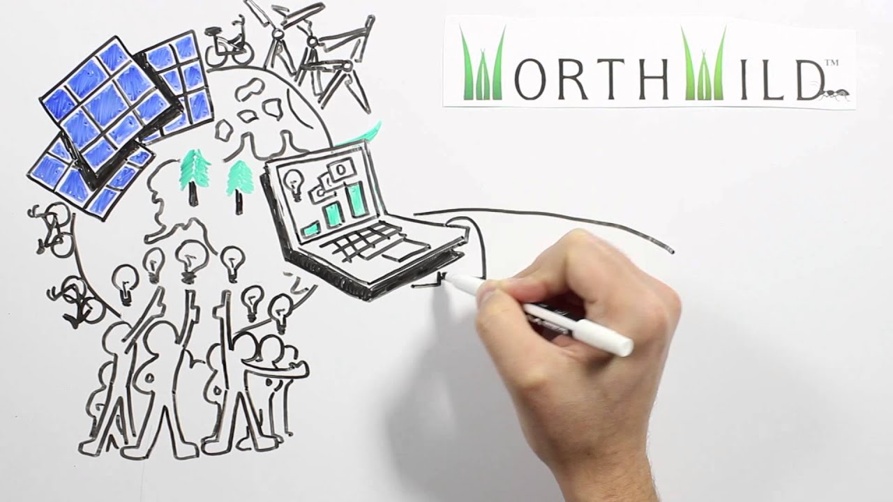 "Worth Wild" Whiteboard Animation (Whiteboard Geeks) YouTube