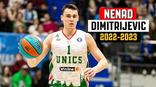Nenad Dimitrijevic BEST Highlights 2022-2023 Season - UNICS KAZAN