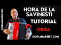 Hora Marcel Savinești - Keyboard & Accordion Tutorial | Easy Romanian Folk Song