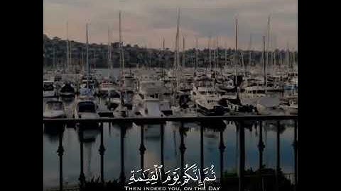 القارئ هيثم الدخين | Qari Haithm Aldokhin