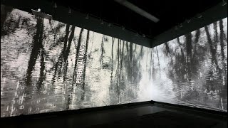 Perennial Land  Immersive Video Installation  Trailer  The Hall of Fame Gallery CUNYBCC