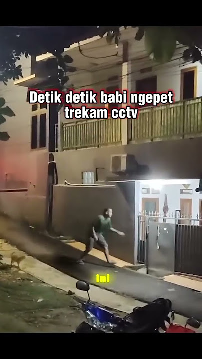penampakan babi ngepet di cctv,😱 #shorts #feedshorts #horrorstories